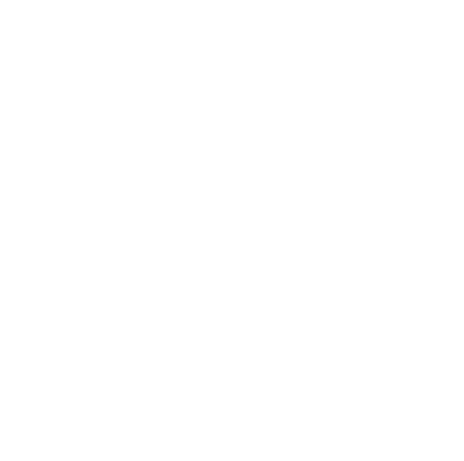 PROGRESS PATHWAYS INTERNATIONAL